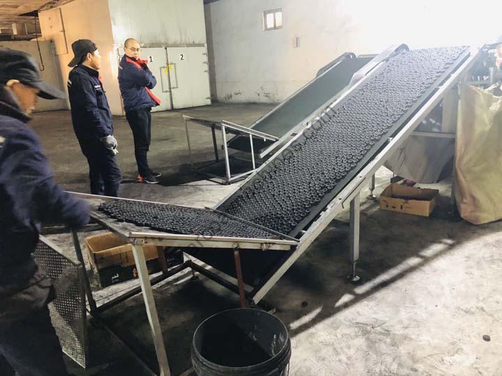 charcoal briquettes sorting machine