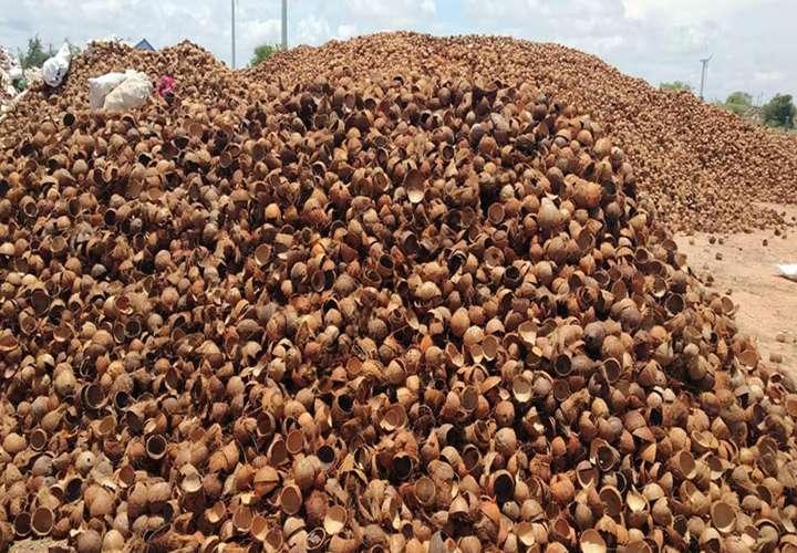 Investment analysis of an annual 200 tons coconut shell charcoal plant