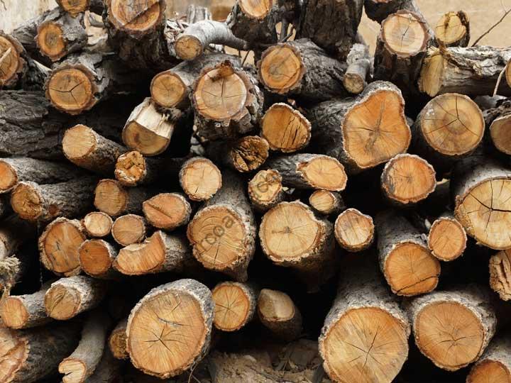 How to recycle wet wood raw materials？
