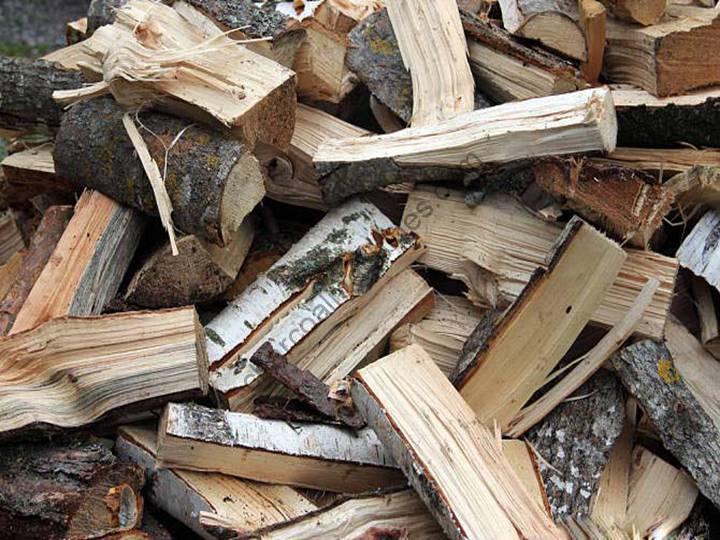 wood log sections for carbonizing