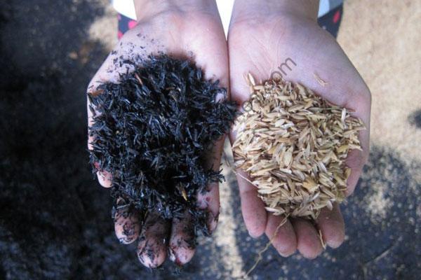 production de charbon de bois à partir de la balle de riz (2)