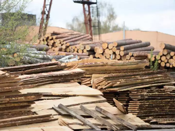 gran planta de aserrado de madera