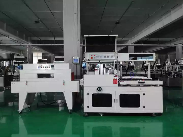 packing machine and heat shrinking machine