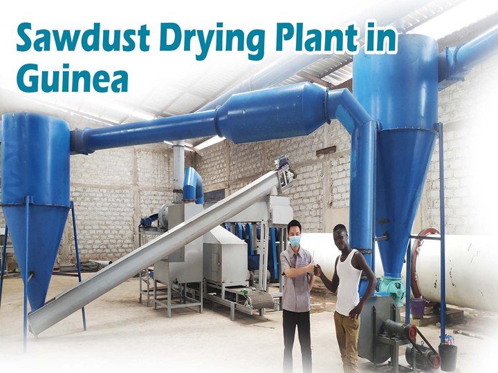Efficient Sawdust Drying Plant in Guinea for Optimal Wood Processing