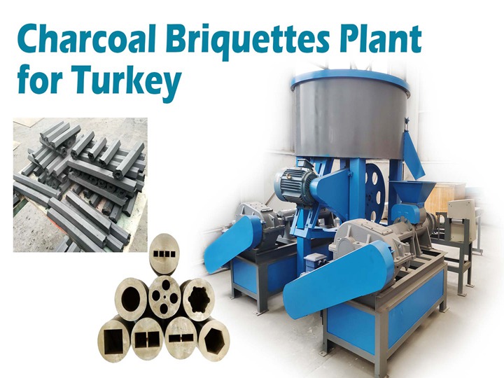 charcoal briquette plant for Turkey